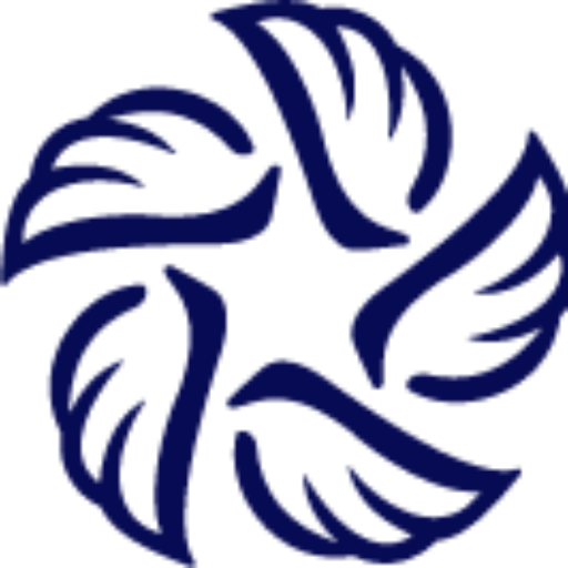 logo bsu